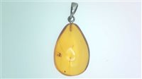 Colgante Sommer Ambra in Plata Ambra GOCCIA CON INSETTO TC NATIVO - GOCCIA CON INSETTO TC NATIVO